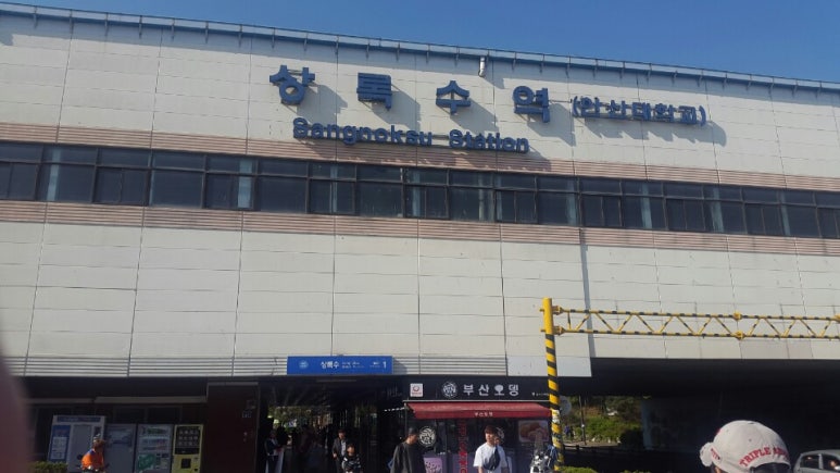 상록수 이미지