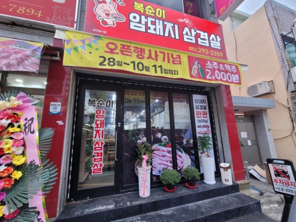 복순이암돼지 이미지