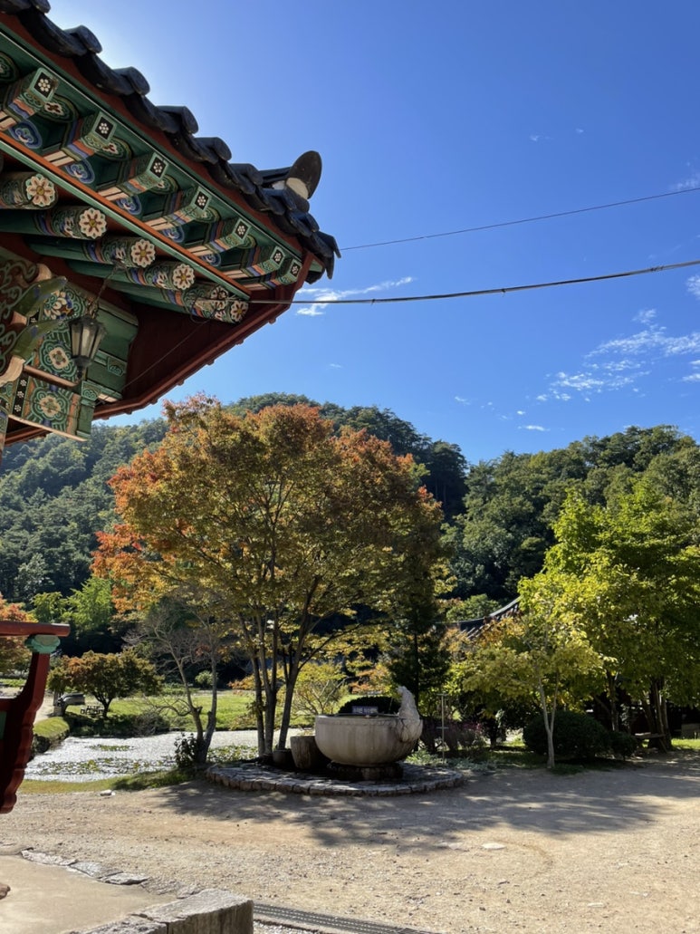맘스터치 죽변점 이미지