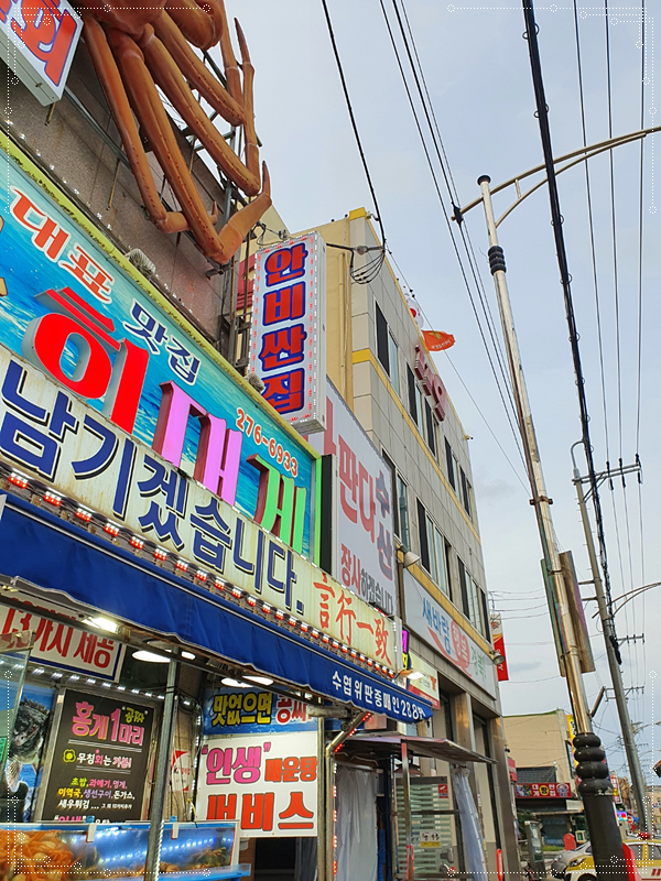 구룡포대게회 이미지