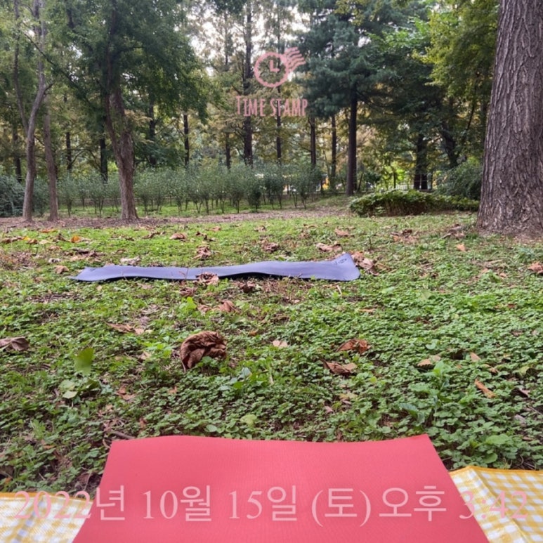 헬로비디야 이미지
