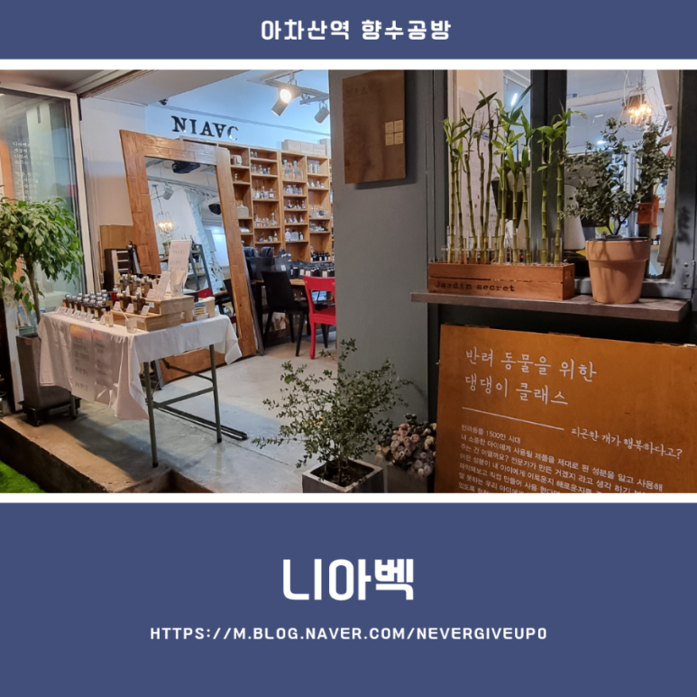 니아벡 이미지