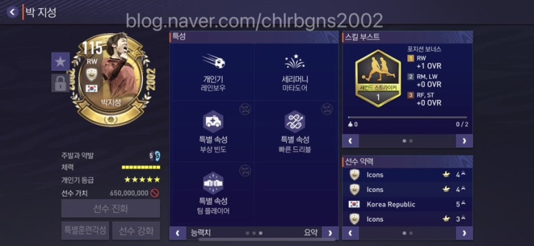 정화양발 이미지