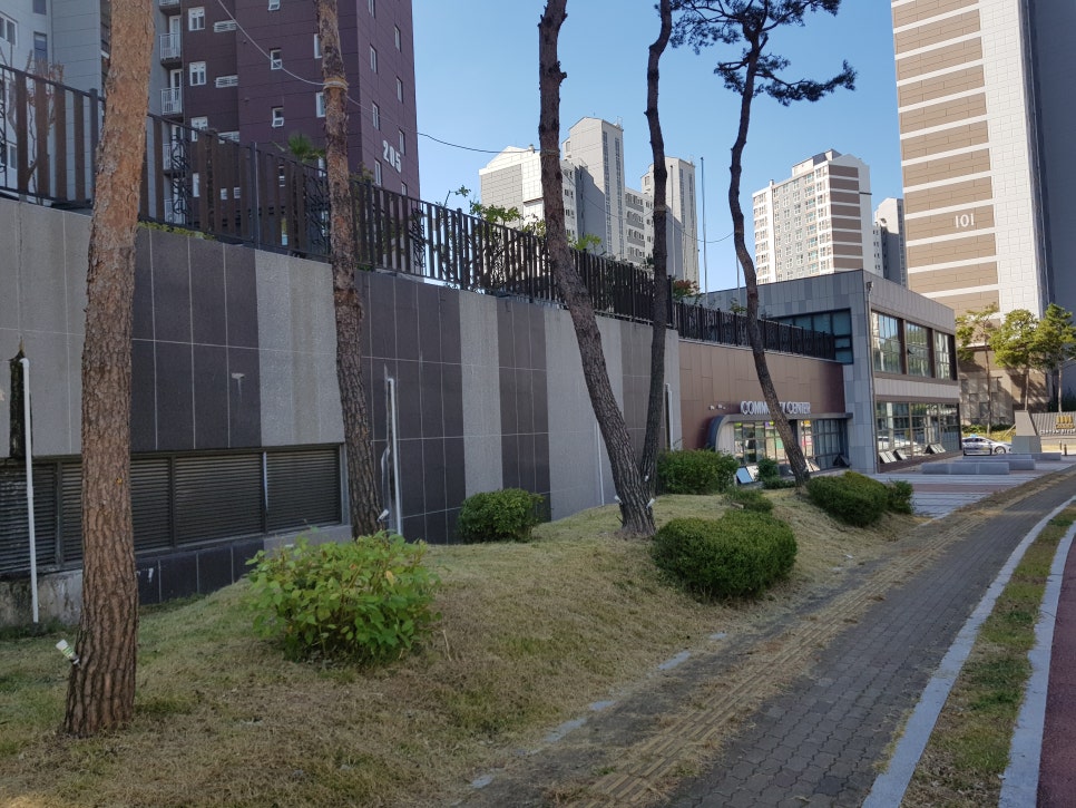 라온나무병원 이미지