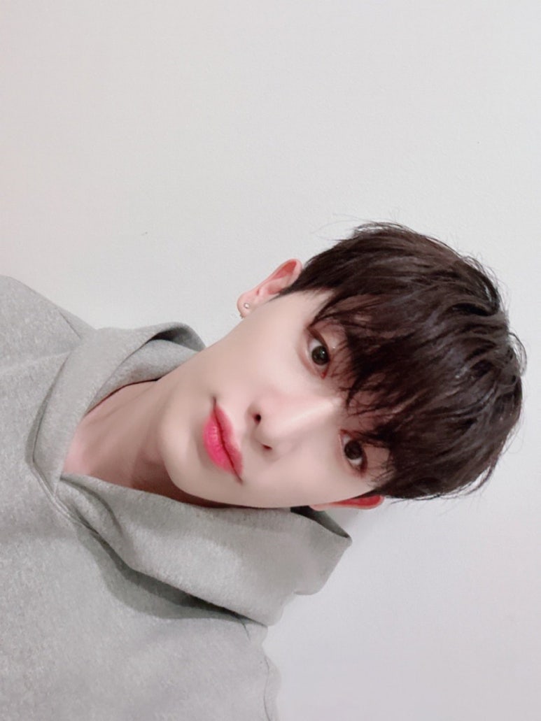 비터스위트 이미지