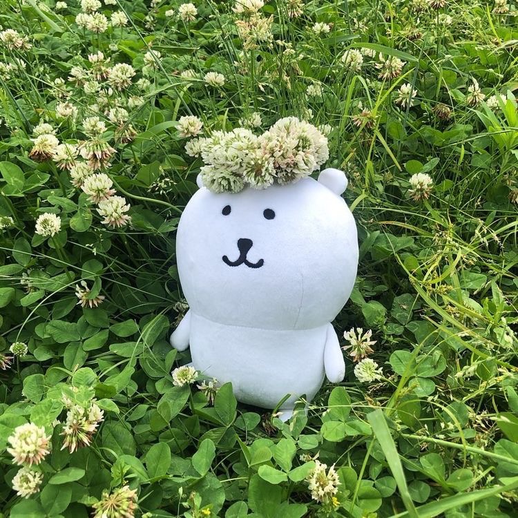(주)서영 이미지