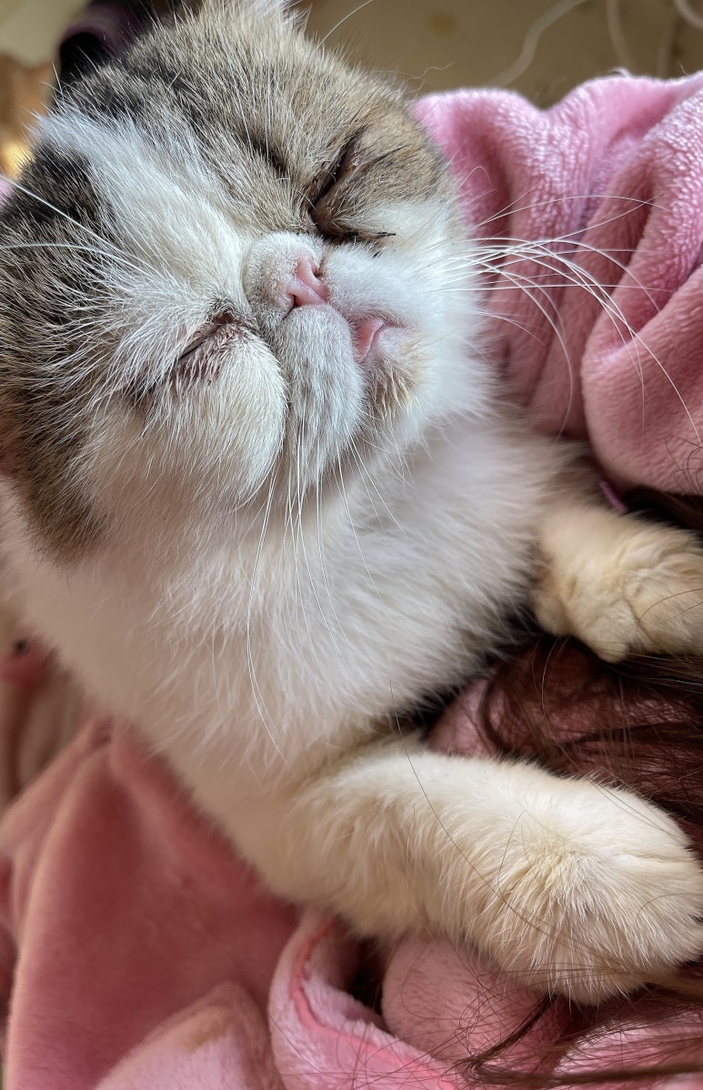주안축산 이미지