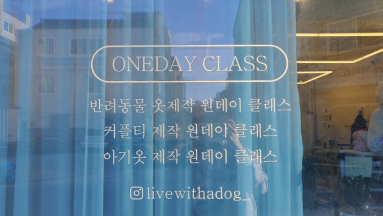 리윗독 이미지