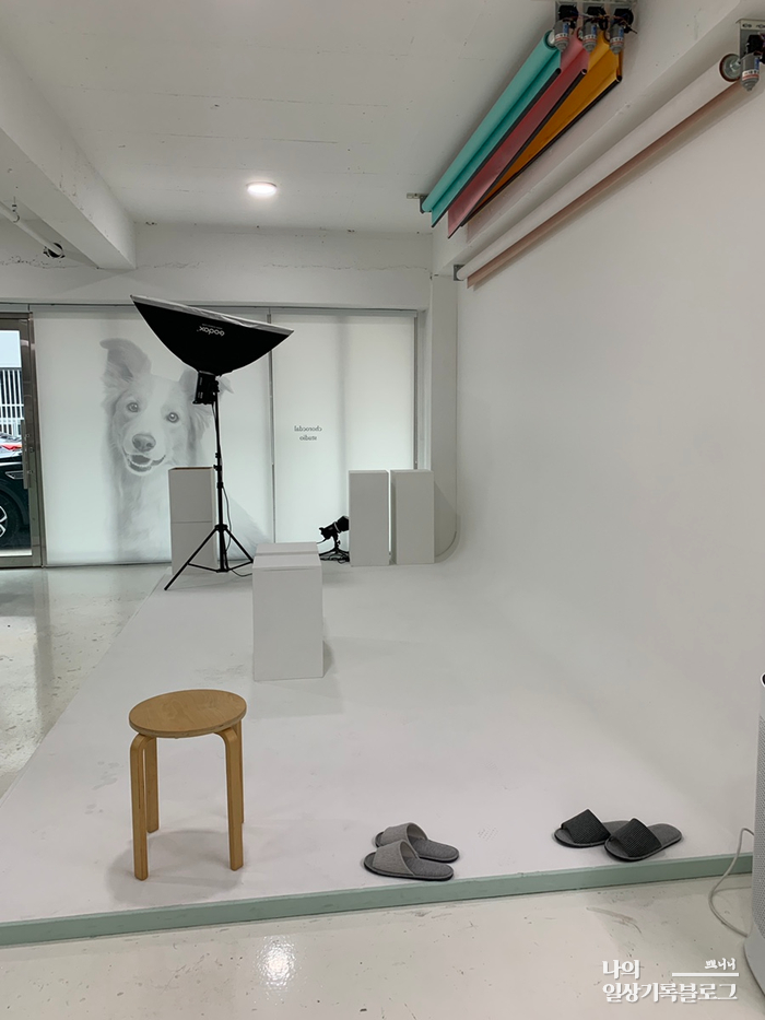 초록달사진관 이미지