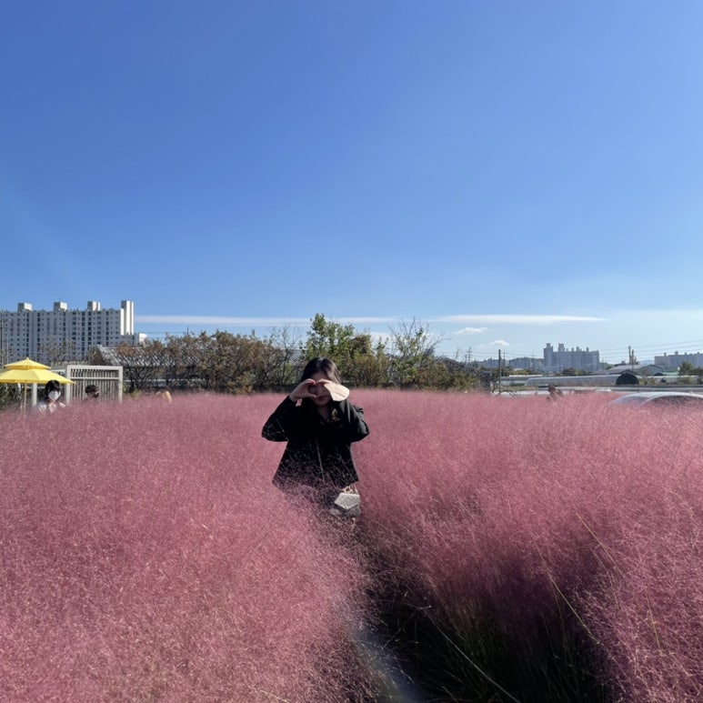 보부상 삼촌 이미지
