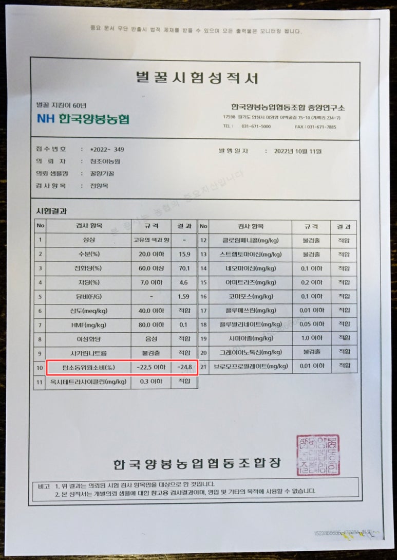 참조아 이미지