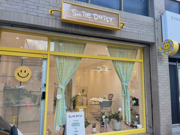 스마일데이지(Smile Daisy) 이미지