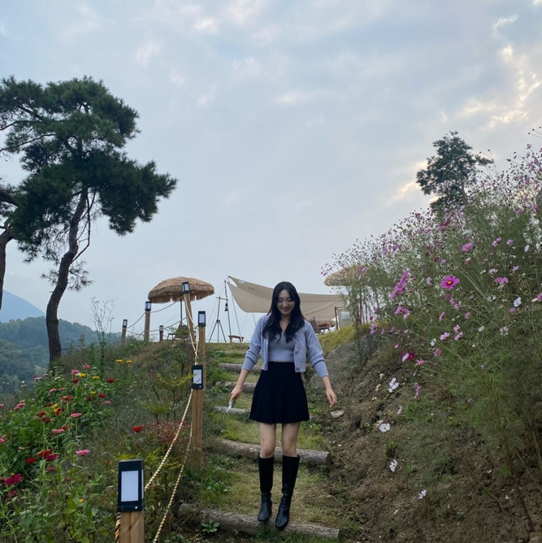 방아실와유 이미지
