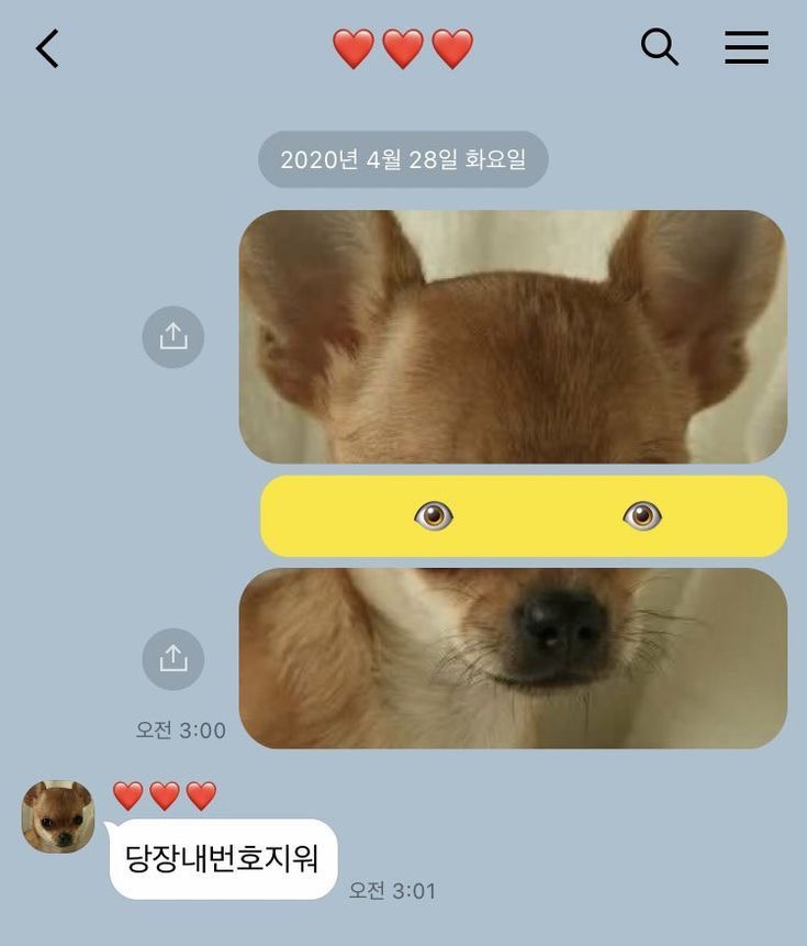 다영식당 이미지
