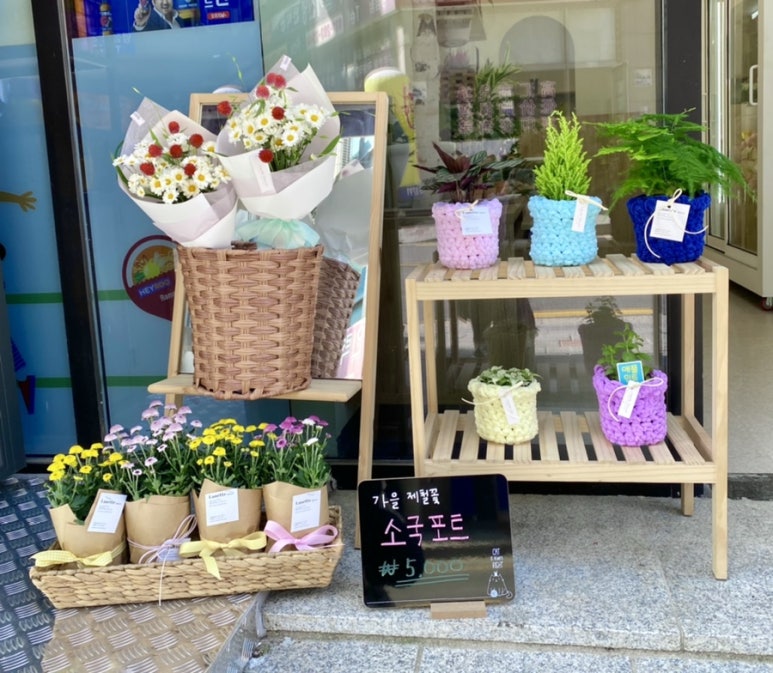 라네트플라워 이미지