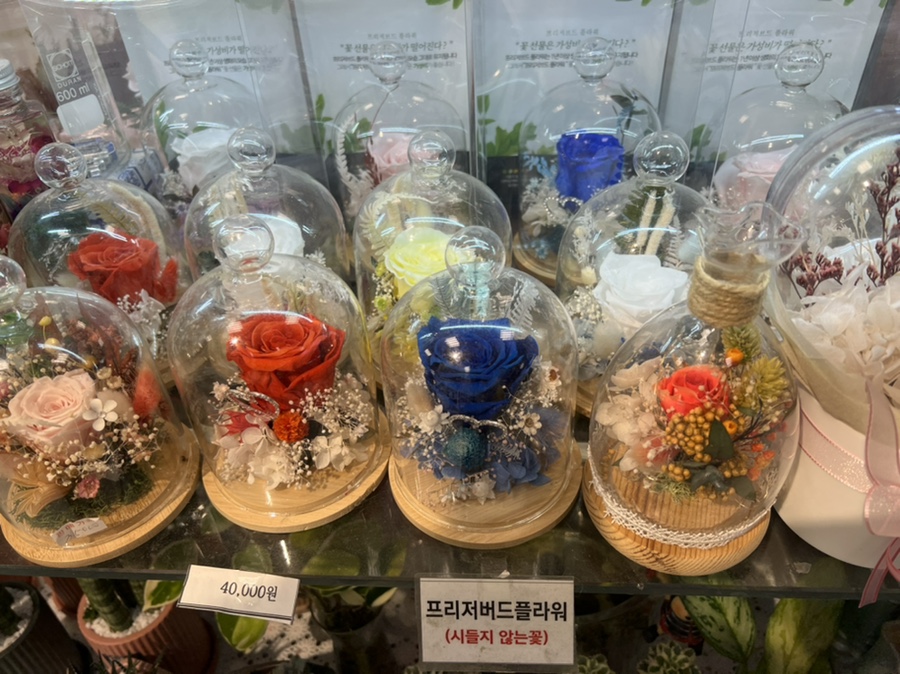 유림꽃화원 이미지