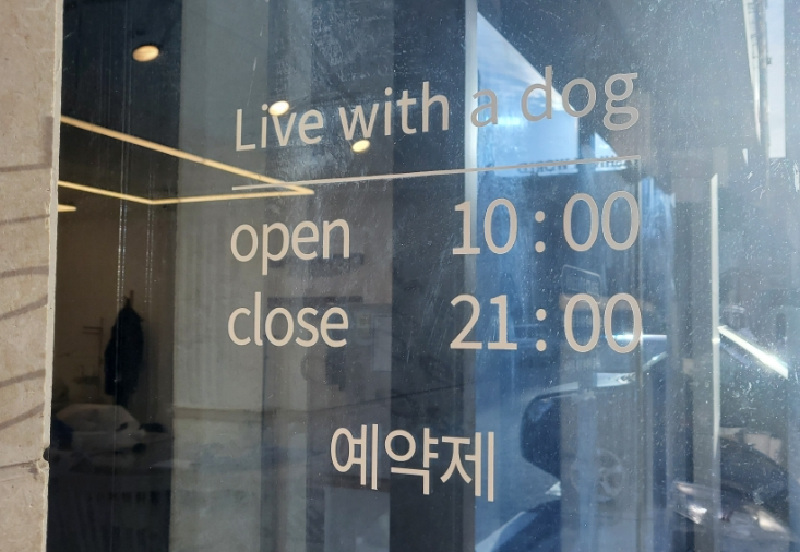 리윗독 이미지