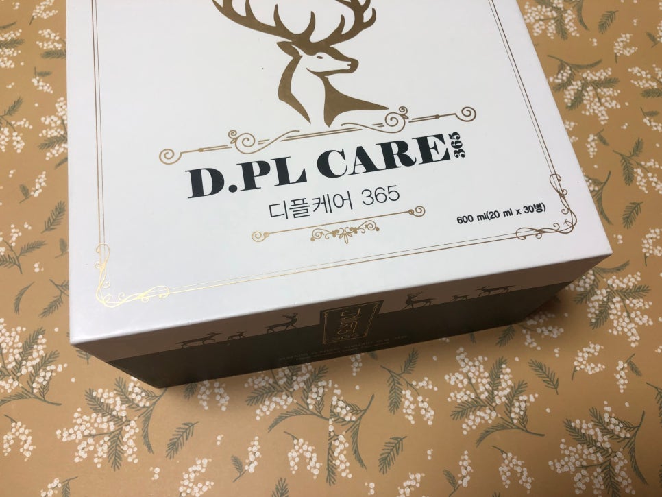 제디플 이미지