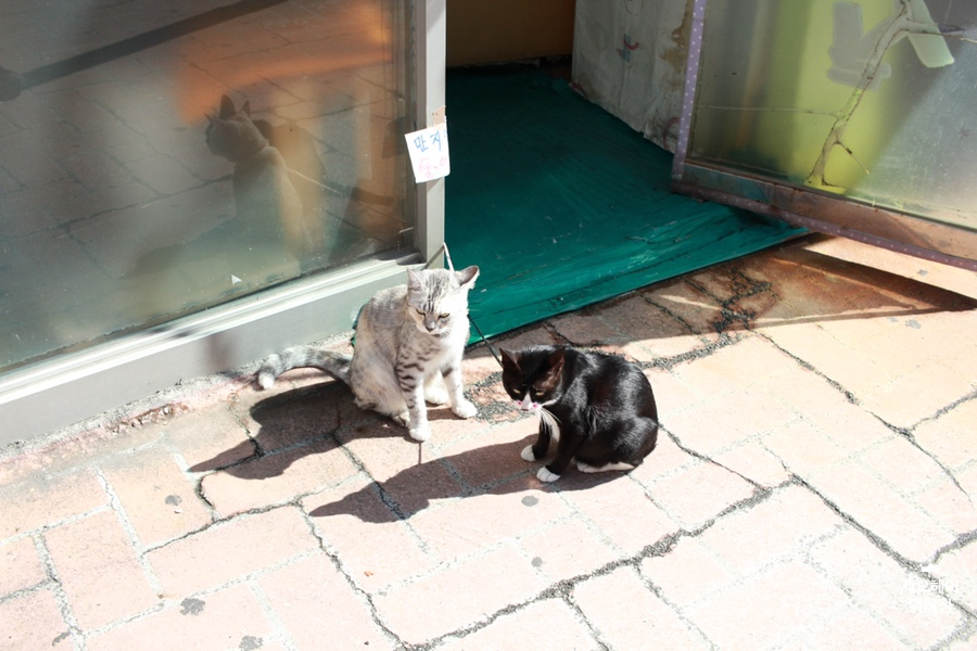 김명진미용실 이미지