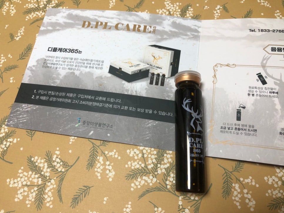 제디플 이미지