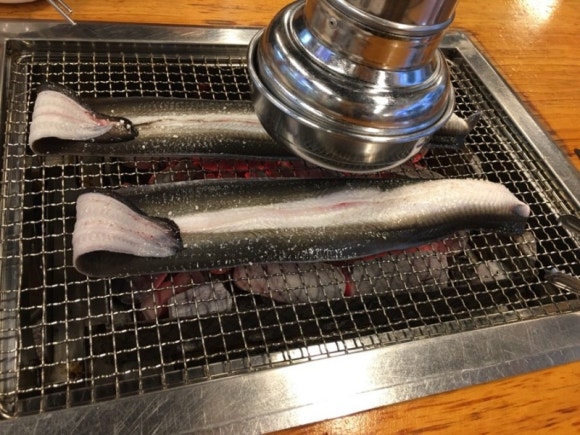 동인숯불민물장어 이미지