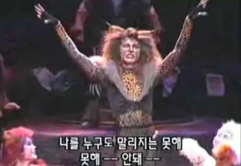 피스오브피스 이미지