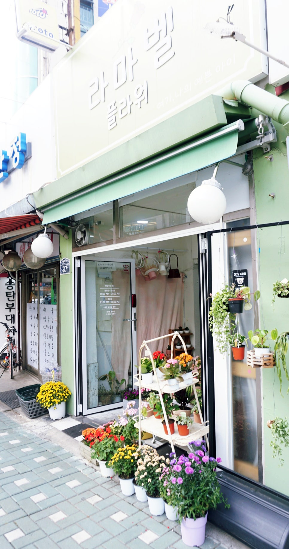 라마벨플라워 이미지