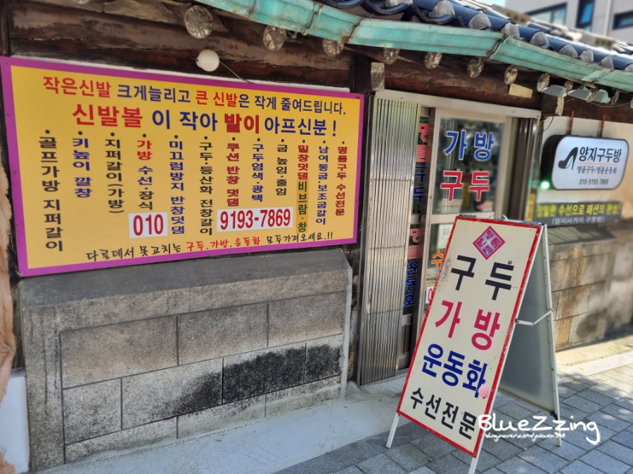 양지수선 이미지