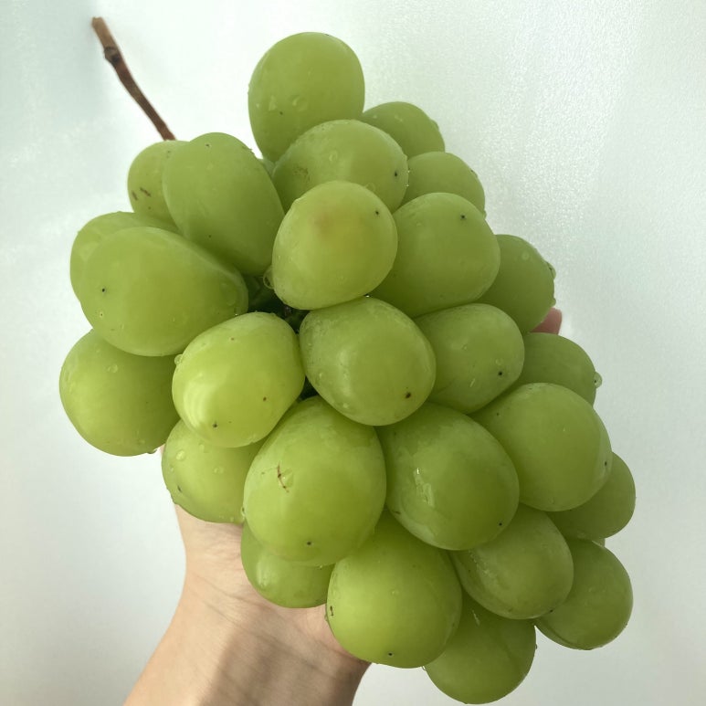 신천농수산물 이미지