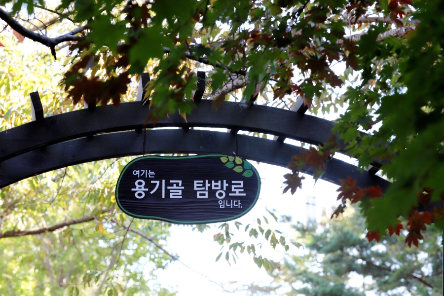 합천가을골 이미지
