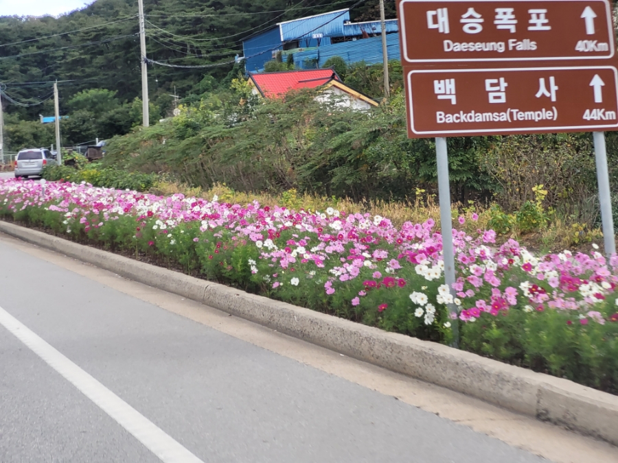 라온피아노음악교습소 이미지