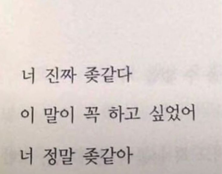 하잎 이미지