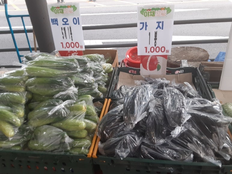 영할인마트 이미지