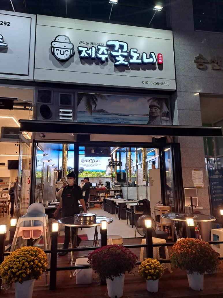 제주꽃도니 이미지
