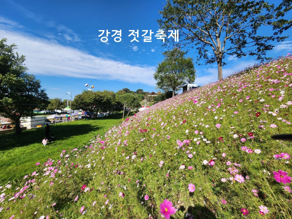 서문강경젓갈 이미지