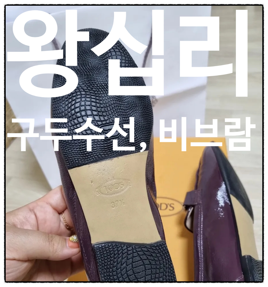 양지수선 이미지