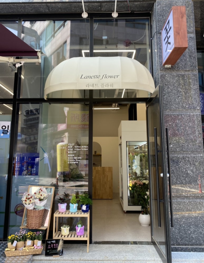 라네트플라워 이미지