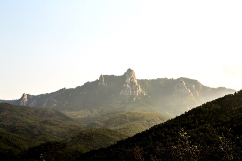 친환경바이오 이미지