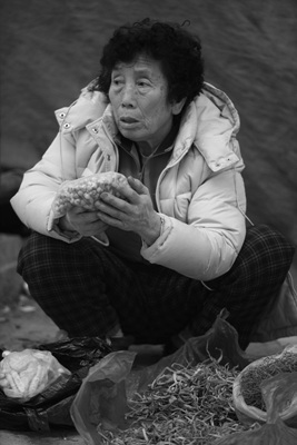 화순장 이미지