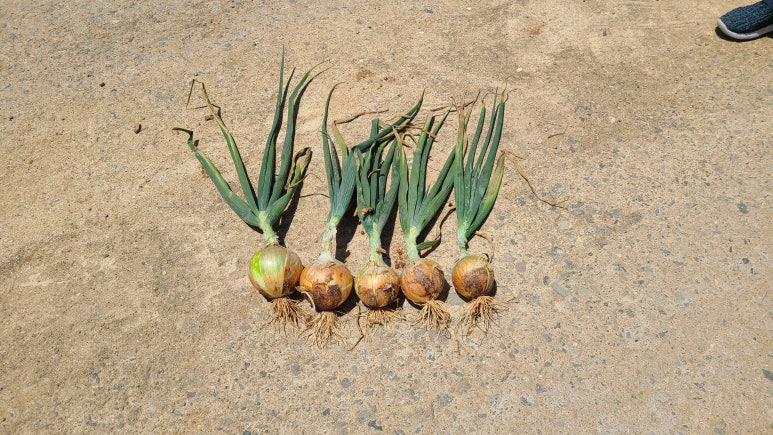 (주)피엠알 이미지