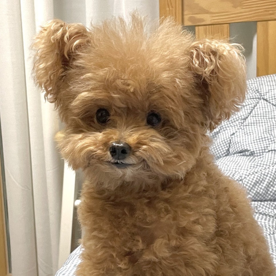 누들키친 이미지