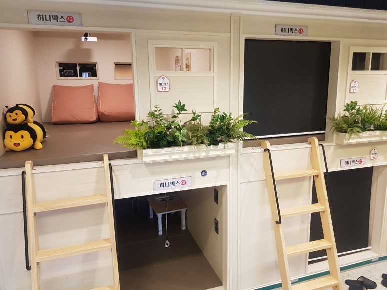 벌툰속초본점 이미지
