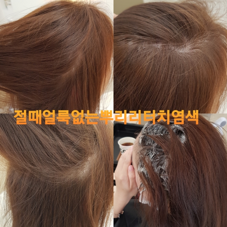 둔전손칼국수 이미지