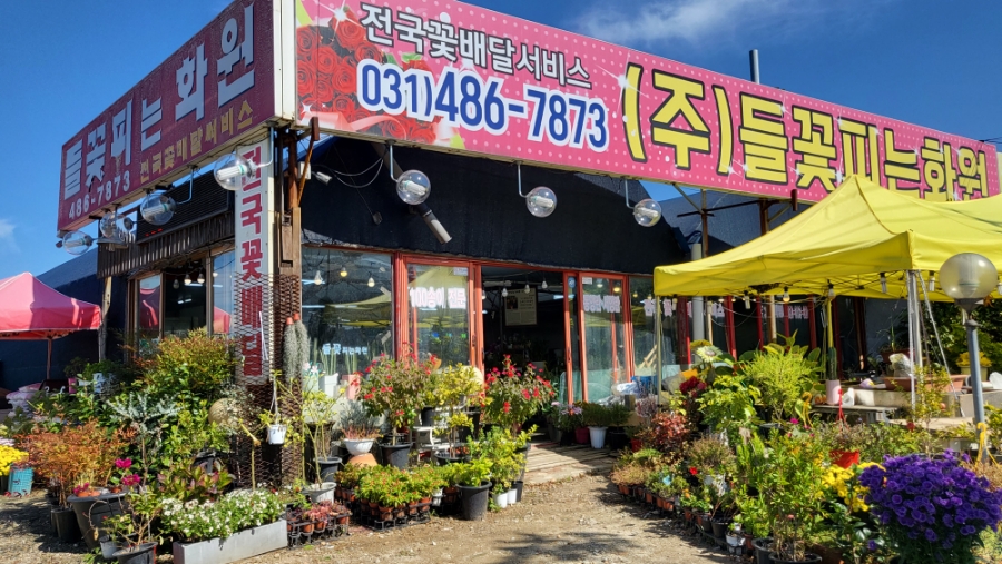 들꽃피는화원 이미지