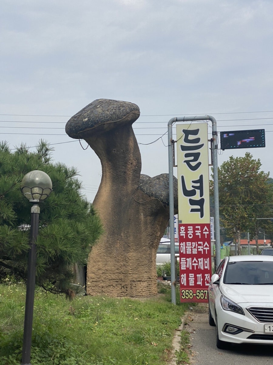 들녘칼국수 이미지