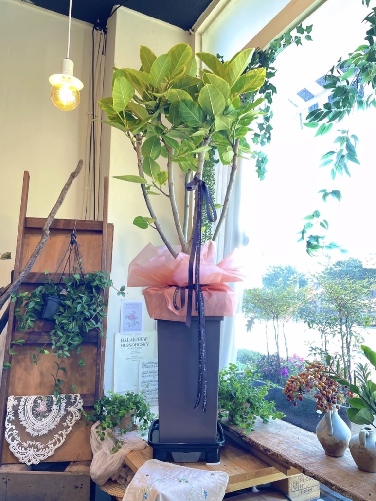 청주꽃집꽃대박 이미지
