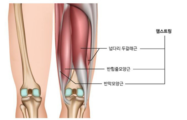 휘와함께 이미지
