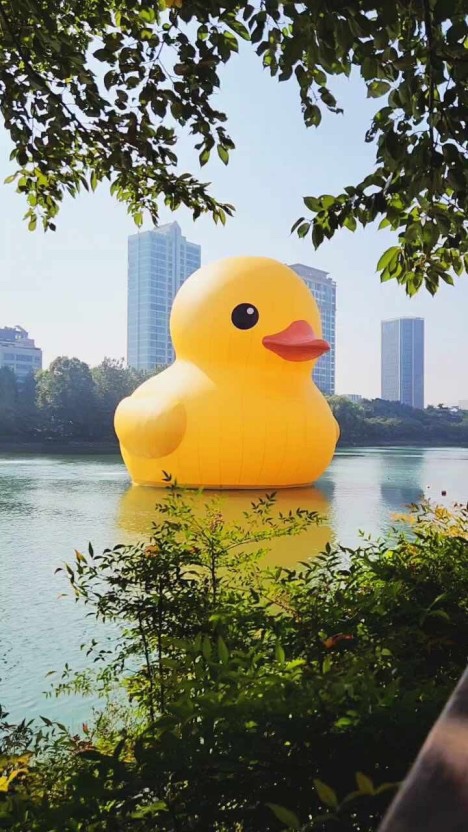 온해 이미지