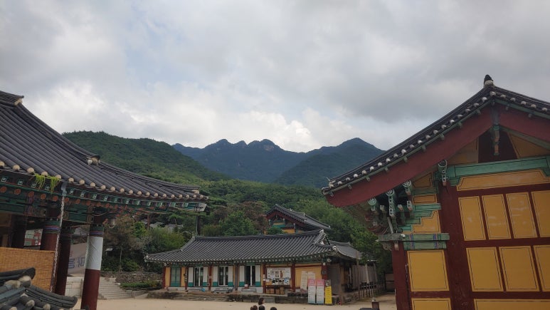 아름다운 산책 이미지