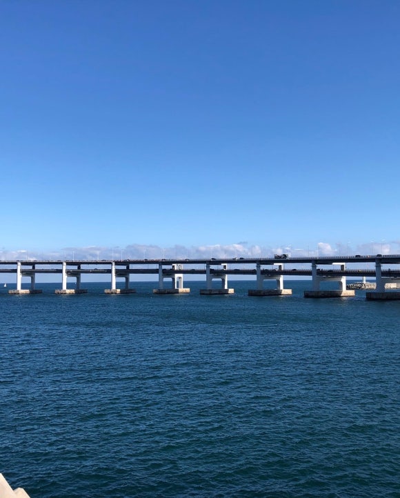 반도보라마트 이미지